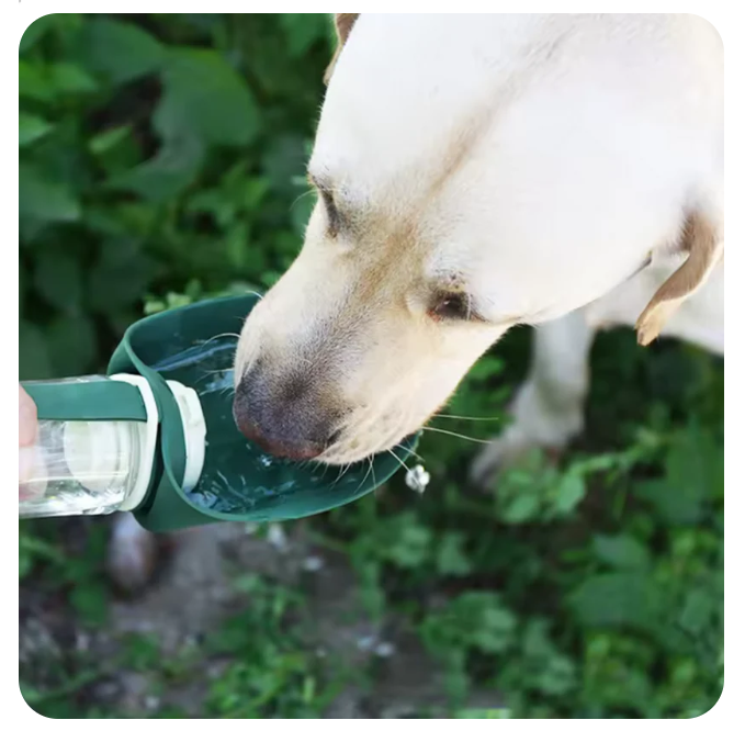 AquaCan™ - Botella portátil con comedero y bebedero