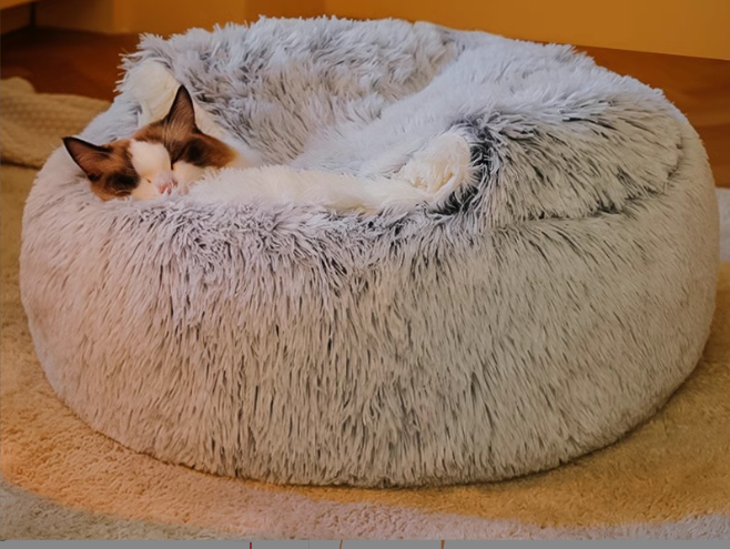 7 señales de que tu gato NO está durmiendo bien (y cómo ayudarle)